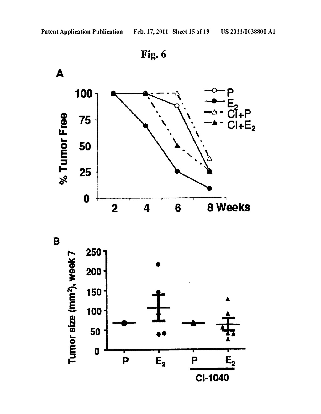 METHOD FOR THE TREATMENT OR PROPHYLAXIS OF LYMPHAGIOLEIOMYMATOSIS (LAM) AND ANIMAL MODEL FOR USE IN LAM RESEARCH - diagram, schematic, and image 16