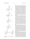 MODIFIED FLUORINATED NUCLEOSIDE ANALOGUES diagram and image