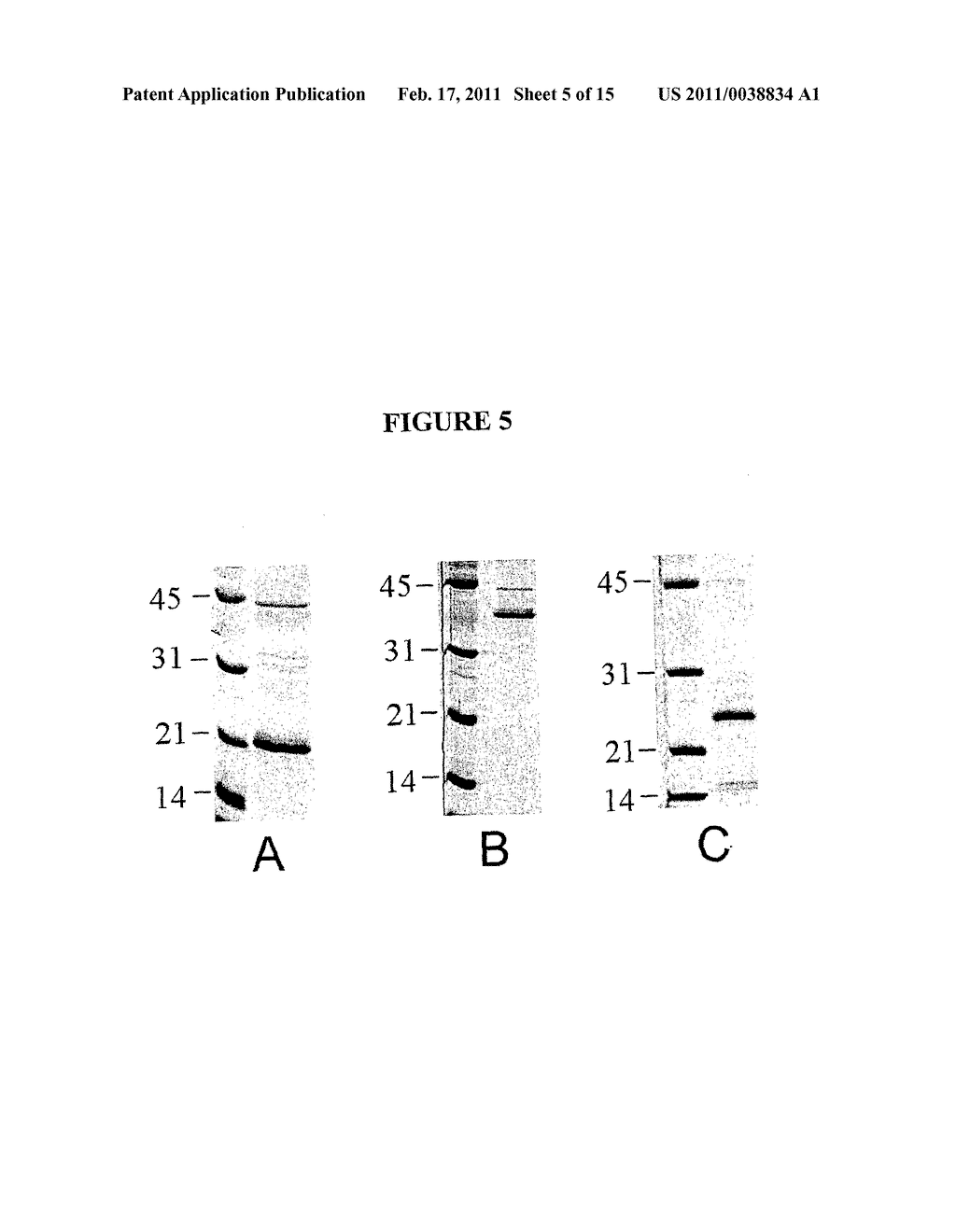 NOVEL AVIAN CYTOKINES AND GENETIC SEQUENCES ENCODING SAME - diagram, schematic, and image 06