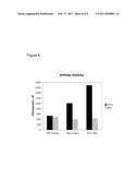 Multi-Transgenic Pigs for Diabetes Treatment diagram and image