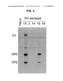 ANTIVIRALS THAT TARGET TRANSPORTERS, CARRIERS, AND ION CHANNELS diagram and image