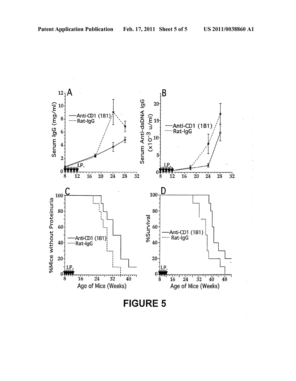 METHODS FOR INHIBITION OF POLYCLONAL B CELL ACTIVATION AND IMMUNOGLOBULIN CLASS SWITCHING TO PATHOGENIC AUTOANTIBODIES BY BLOCKING CD1-MEDIATED INTERACTIONS - diagram, schematic, and image 06