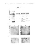 PARASPORIN-1 RECEPTOR AND USE THEREOF diagram and image