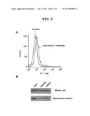 PARASPORIN-1 RECEPTOR AND USE THEREOF diagram and image