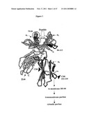 PROGNOSTIC ASSAY FOR DETERMINING T CELL RESPONSE TO HLA ANTIGENS AND USE THEREOF IN FIELD OF TISSUE TRANSPLANTATION diagram and image