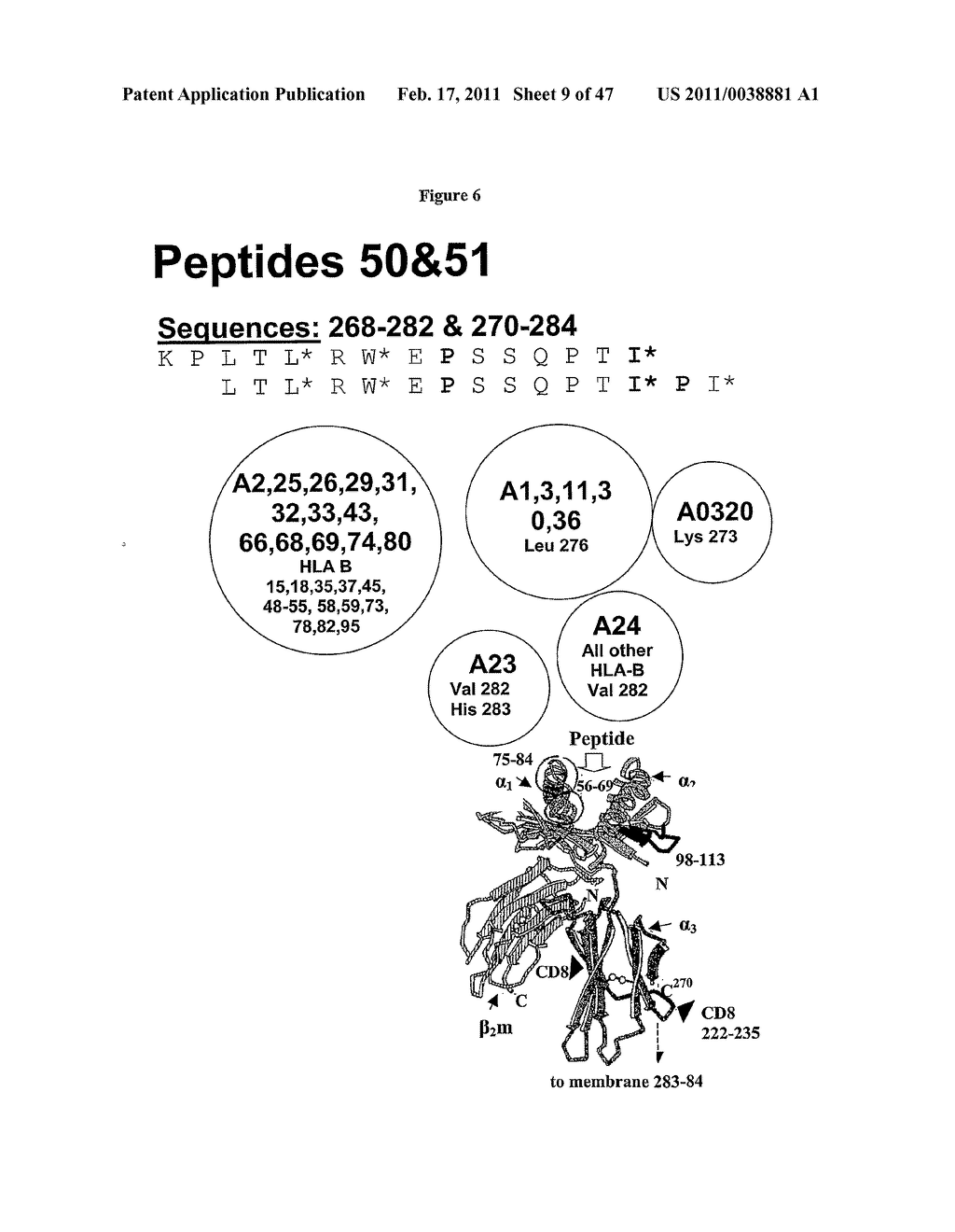 PROGNOSTIC ASSAY FOR DETERMINING T CELL RESPONSE TO HLA ANTIGENS AND USE THEREOF IN FIELD OF TISSUE TRANSPLANTATION - diagram, schematic, and image 10