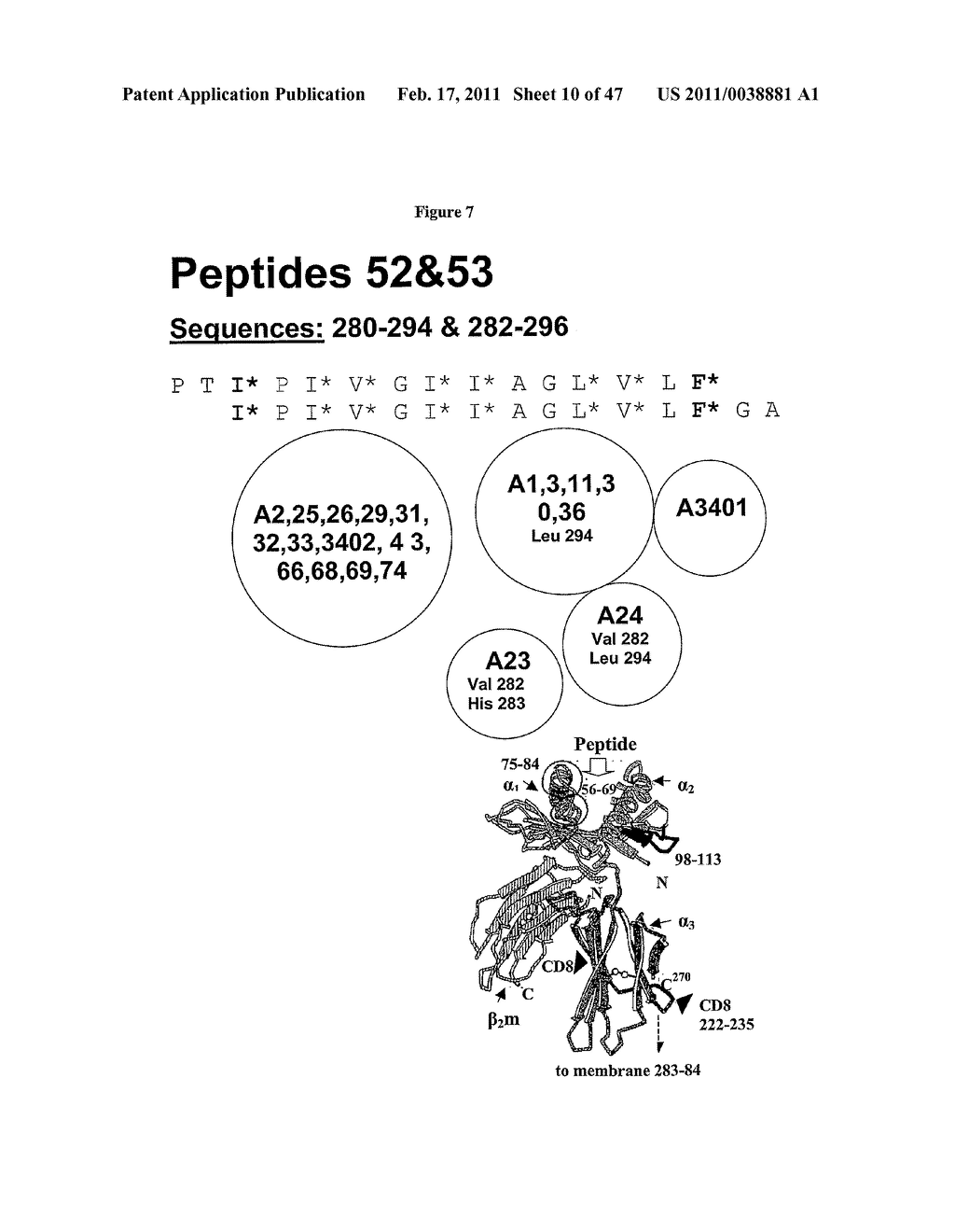 PROGNOSTIC ASSAY FOR DETERMINING T CELL RESPONSE TO HLA ANTIGENS AND USE THEREOF IN FIELD OF TISSUE TRANSPLANTATION - diagram, schematic, and image 11