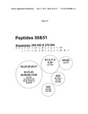 PROGNOSTIC ASSAY FOR DETERMINING T CELL RESPONSE TO HLA ANTIGENS AND USE THEREOF IN FIELD OF TISSUE TRANSPLANTATION diagram and image