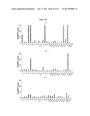 PROGNOSTIC ASSAY FOR DETERMINING T CELL RESPONSE TO HLA ANTIGENS AND USE THEREOF IN FIELD OF TISSUE TRANSPLANTATION diagram and image