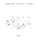 N-Linked Glycosylation Alteration in E0 and E2 Glycoprotein of Classical Swine Fever Virus and Novel Classical Swine Fever Virus Vaccine diagram and image