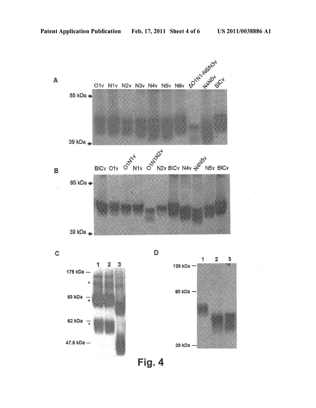 N-Linked Glycosylation Alteration in E0 and E2 Glycoprotein of Classical Swine Fever Virus and Novel Classical Swine Fever Virus Vaccine - diagram, schematic, and image 05