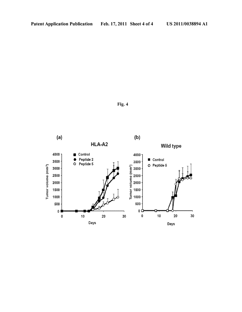 Immunogenic Peptides of Tumor Associated Antigen L6 and Uses Thereof in Cancer Therapy - diagram, schematic, and image 05