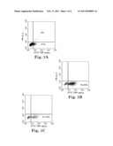 MULTI-EPITOPE PEPTIDE-LOADED DENDRITIC CELL IMMUNOTHERAPY FOR CANCER diagram and image