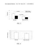 Methods of Reducing the Production of Reactive Oxygen Species and Methods of Screening or Identifying Compounds and Compositions that Reduce the Production of Reactive Oxygen Species diagram and image