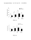 Methods of Reducing the Production of Reactive Oxygen Species and Methods of Screening or Identifying Compounds and Compositions that Reduce the Production of Reactive Oxygen Species diagram and image