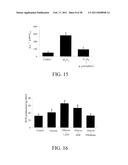 Methods of Reducing the Production of Reactive Oxygen Species and Methods of Screening or Identifying Compounds and Compositions that Reduce the Production of Reactive Oxygen Species diagram and image