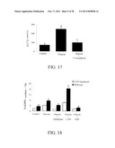 Methods of Reducing the Production of Reactive Oxygen Species and Methods of Screening or Identifying Compounds and Compositions that Reduce the Production of Reactive Oxygen Species diagram and image