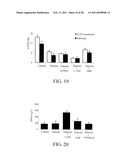 Methods of Reducing the Production of Reactive Oxygen Species and Methods of Screening or Identifying Compounds and Compositions that Reduce the Production of Reactive Oxygen Species diagram and image