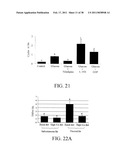 Methods of Reducing the Production of Reactive Oxygen Species and Methods of Screening or Identifying Compounds and Compositions that Reduce the Production of Reactive Oxygen Species diagram and image