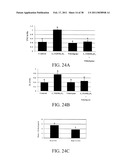 Methods of Reducing the Production of Reactive Oxygen Species and Methods of Screening or Identifying Compounds and Compositions that Reduce the Production of Reactive Oxygen Species diagram and image