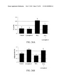 Methods of Reducing the Production of Reactive Oxygen Species and Methods of Screening or Identifying Compounds and Compositions that Reduce the Production of Reactive Oxygen Species diagram and image