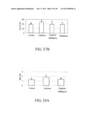 Methods of Reducing the Production of Reactive Oxygen Species and Methods of Screening or Identifying Compounds and Compositions that Reduce the Production of Reactive Oxygen Species diagram and image