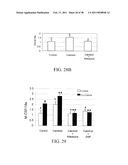 Methods of Reducing the Production of Reactive Oxygen Species and Methods of Screening or Identifying Compounds and Compositions that Reduce the Production of Reactive Oxygen Species diagram and image