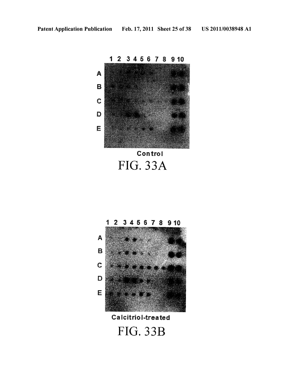 Methods of Reducing the Production of Reactive Oxygen Species and Methods of Screening or Identifying Compounds and Compositions that Reduce the Production of Reactive Oxygen Species - diagram, schematic, and image 26