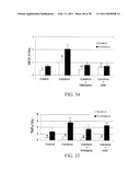 Methods of Reducing the Production of Reactive Oxygen Species and Methods of Screening or Identifying Compounds and Compositions that Reduce the Production of Reactive Oxygen Species diagram and image