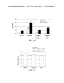 Methods of Reducing the Production of Reactive Oxygen Species and Methods of Screening or Identifying Compounds and Compositions that Reduce the Production of Reactive Oxygen Species diagram and image