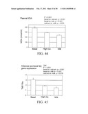 Methods of Reducing the Production of Reactive Oxygen Species and Methods of Screening or Identifying Compounds and Compositions that Reduce the Production of Reactive Oxygen Species diagram and image