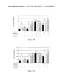 Methods of Reducing the Production of Reactive Oxygen Species and Methods of Screening or Identifying Compounds and Compositions that Reduce the Production of Reactive Oxygen Species diagram and image