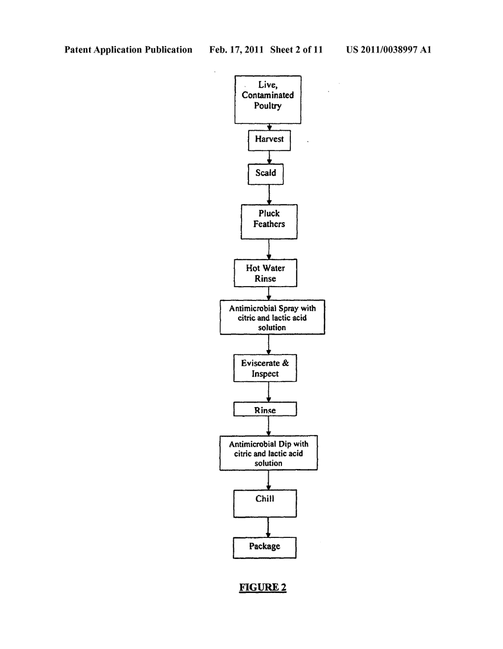 Method of processing poultry and other meat to reduce or eliminate Salmonella - diagram, schematic, and image 03