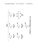 Fuel cell system and solid polymer electrolyte film diagram and image