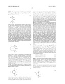 Fuel cell system and solid polymer electrolyte film diagram and image