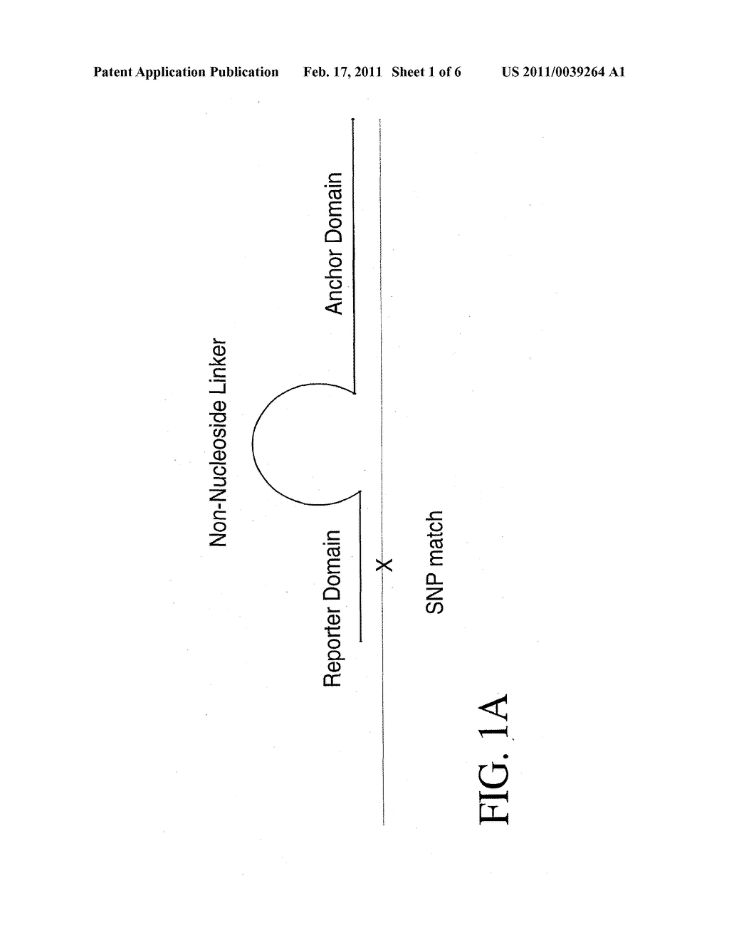 Format of Probes to Detect Nucleic Acid Differences - diagram, schematic, and image 02