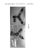 HYBRID MICROFLUIDIC SPR AND MOLECULAR IMAGING DEVICE diagram and image