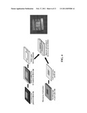 HYBRID MICROFLUIDIC SPR AND MOLECULAR IMAGING DEVICE diagram and image