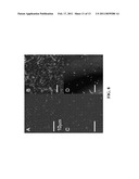 HYBRID MICROFLUIDIC SPR AND MOLECULAR IMAGING DEVICE diagram and image