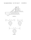 Bioremediation of Nanomaterials diagram and image