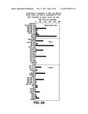 Compositions and Methods for Inhibiting Cell Migration diagram and image