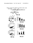 Compositions and Methods for Inhibiting Cell Migration diagram and image