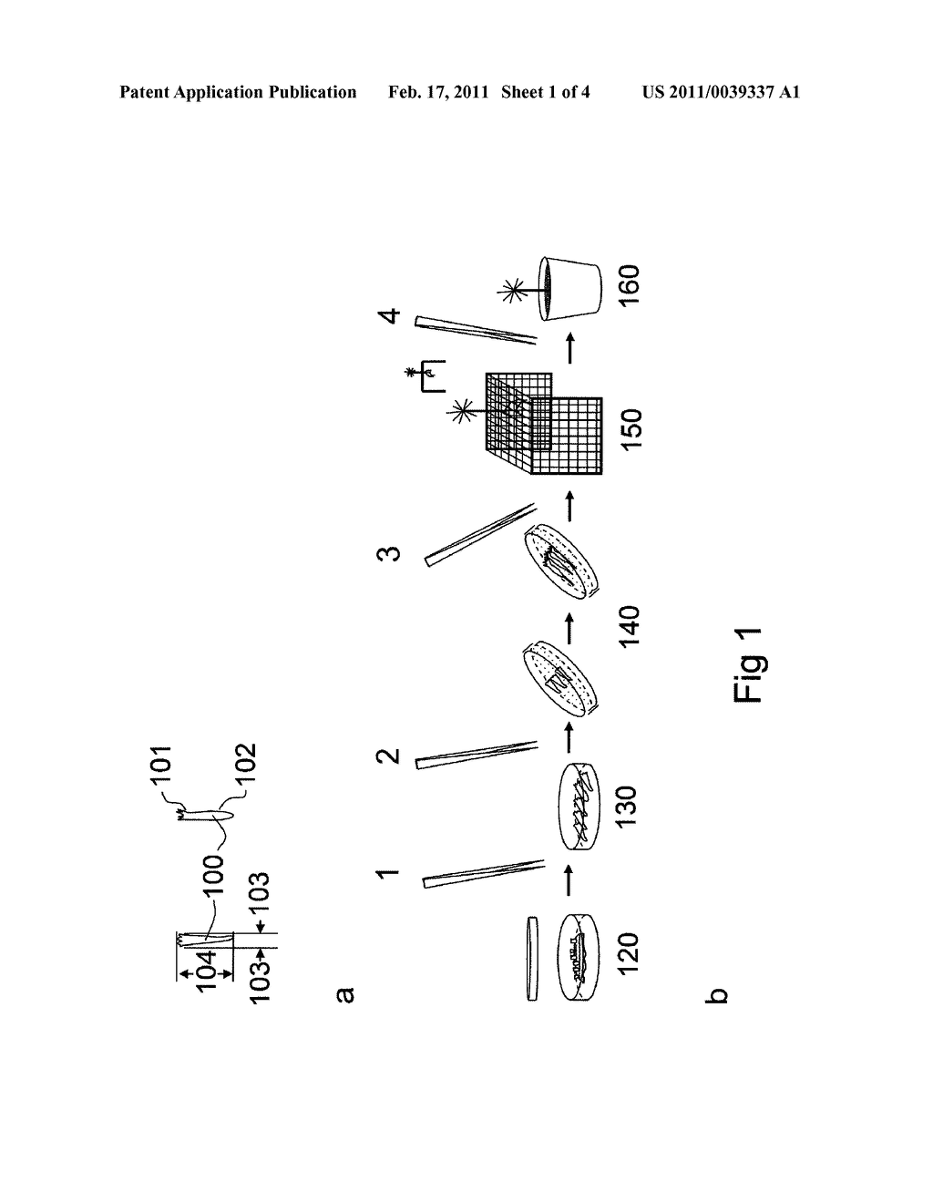 METHODS AND DEVICES FOR DISPERSING SOMATIC PLANT EMBRYOS - diagram, schematic, and image 02