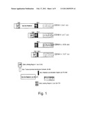 Process, Vectors and Engineered Cell Lines for Enhanced Large-Scale Transfection diagram and image