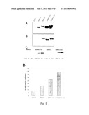 Process, Vectors and Engineered Cell Lines for Enhanced Large-Scale Transfection diagram and image