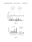 Process, Vectors and Engineered Cell Lines for Enhanced Large-Scale Transfection diagram and image