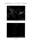 Porous substrates, articles, systems and compositions comprising nanofibers and methods of their use and production diagram and image