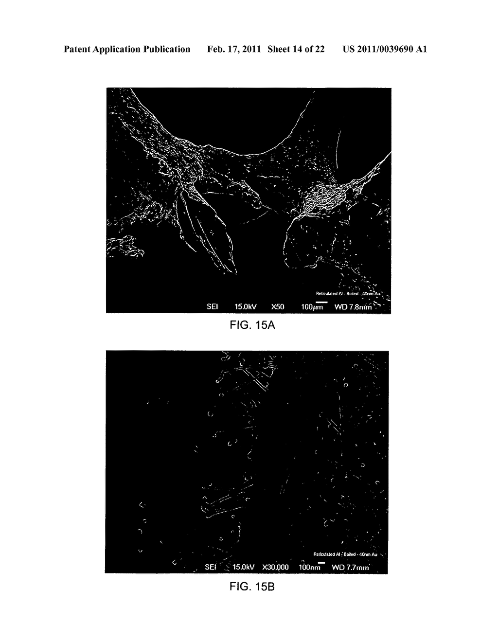 Porous substrates, articles, systems and compositions comprising nanofibers and methods of their use and production - diagram, schematic, and image 15