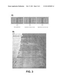 CRYOPROTECTIVE AQUEOUS COMPOSITION AND METHODS FOR IMPLEMENTING SAME diagram and image