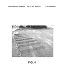 CRYOPROTECTIVE AQUEOUS COMPOSITION AND METHODS FOR IMPLEMENTING SAME diagram and image